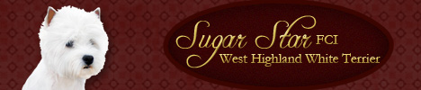 http://sugarstar.pl/